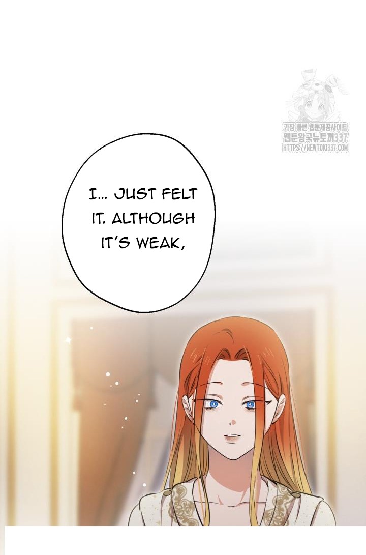 The World's Strongest Are Obsessed With Me Chapter 116 page 47