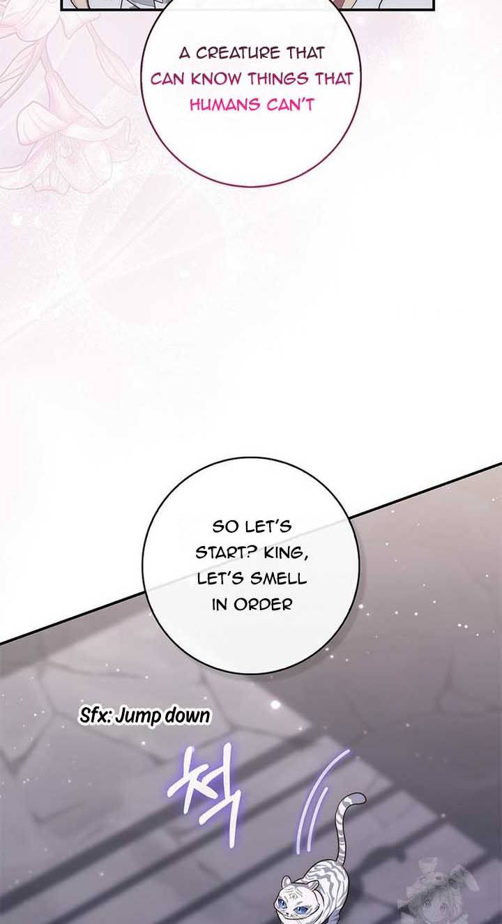 Fortune-Telling Lady Chapter 77 page 52