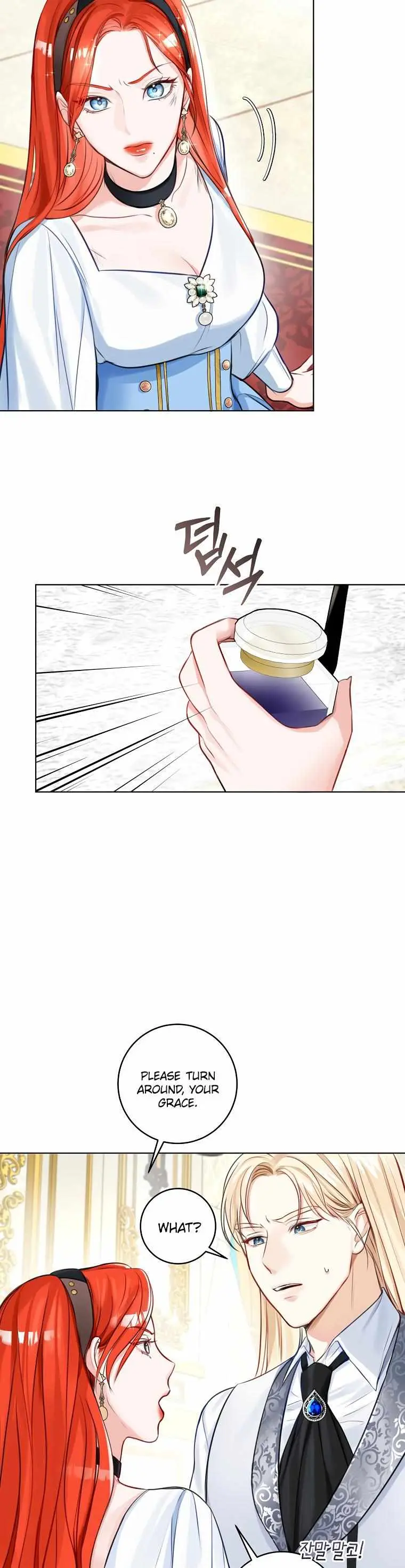 The Archduke's Fabulous Fake Marriage Chapter 5 page 17