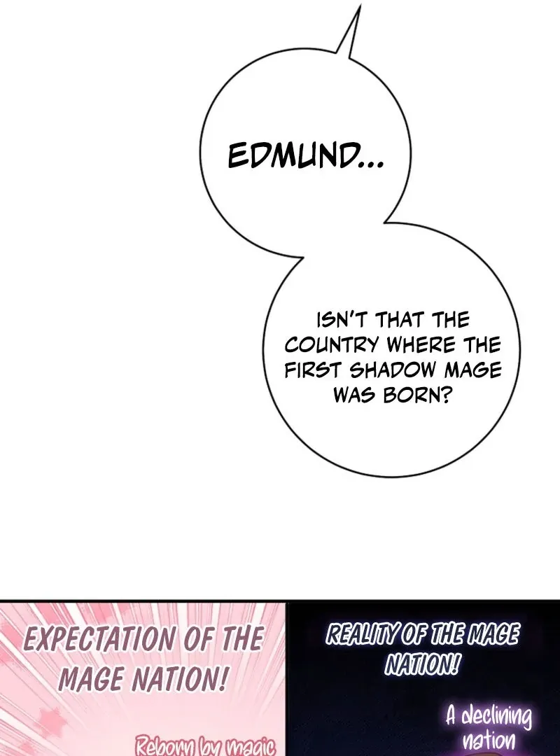 The Archduke's Fabulous Fake Marriage Chapter 84 page 13
