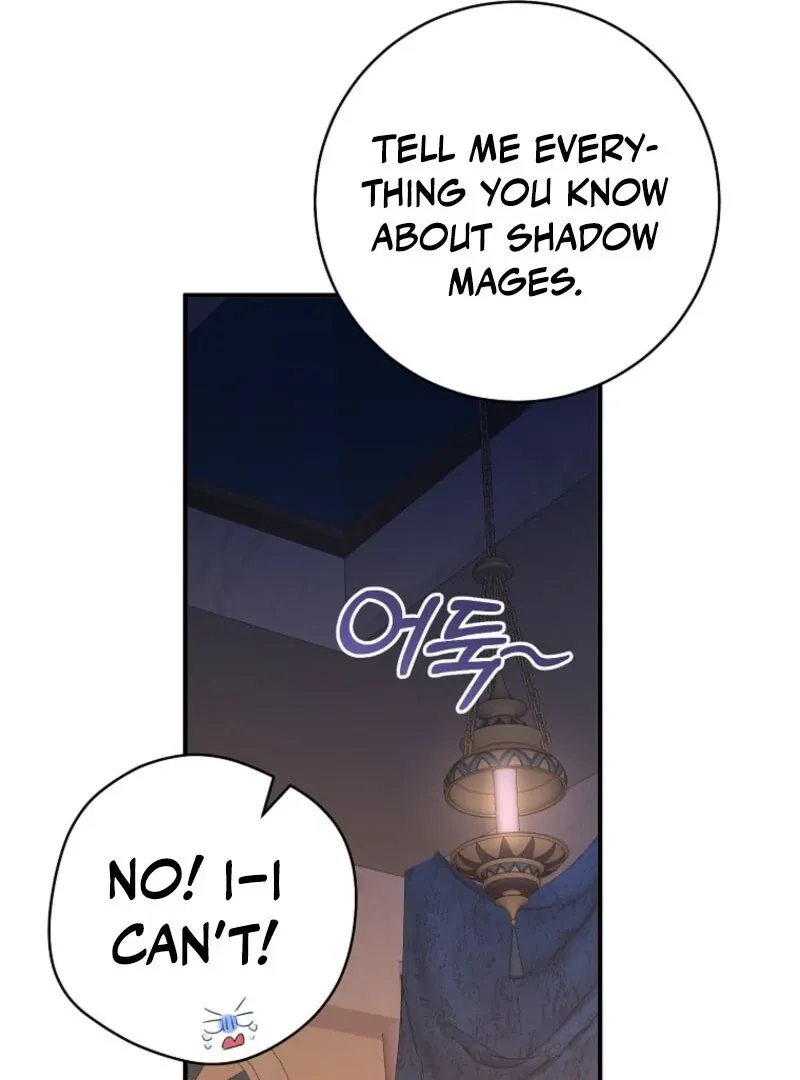 The Archduke's Fabulous Fake Marriage Chapter 84 page 65