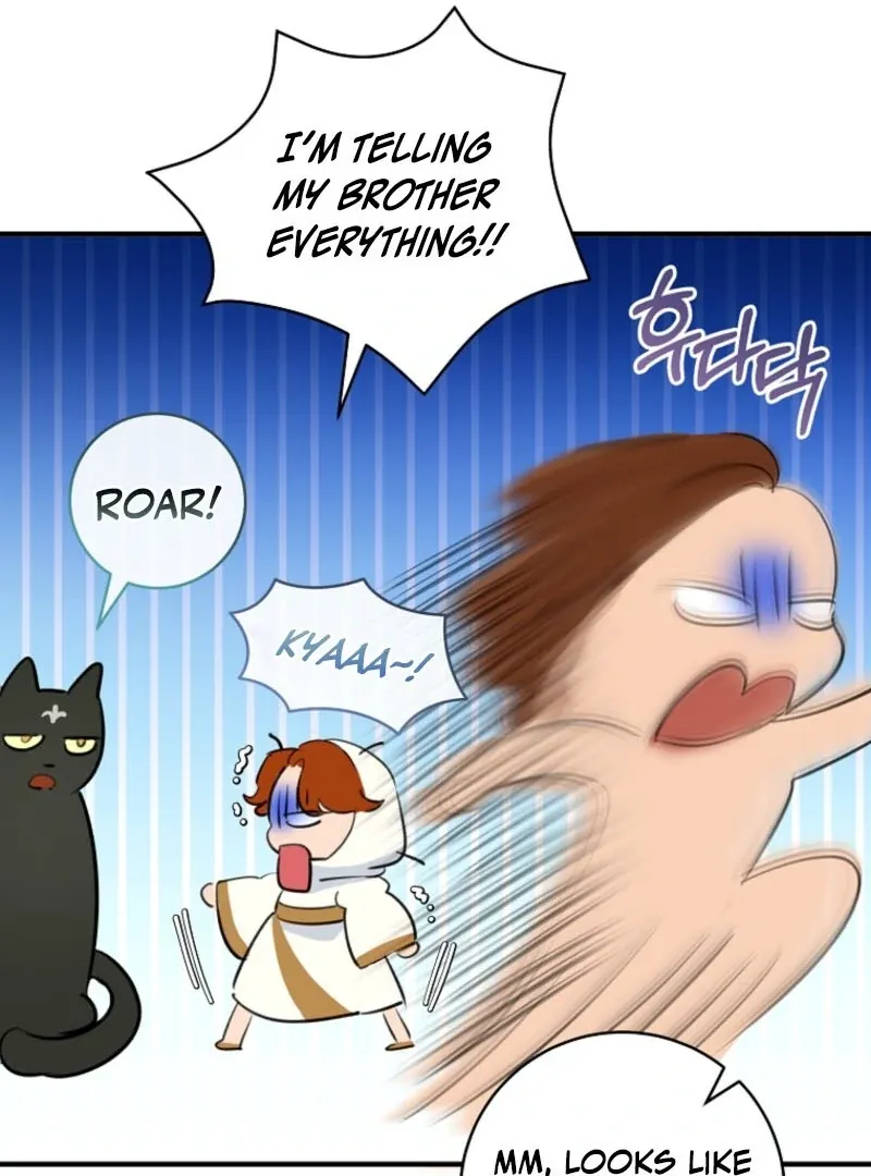 The Archduke's Fabulous Fake Marriage Chapter 84 page 70