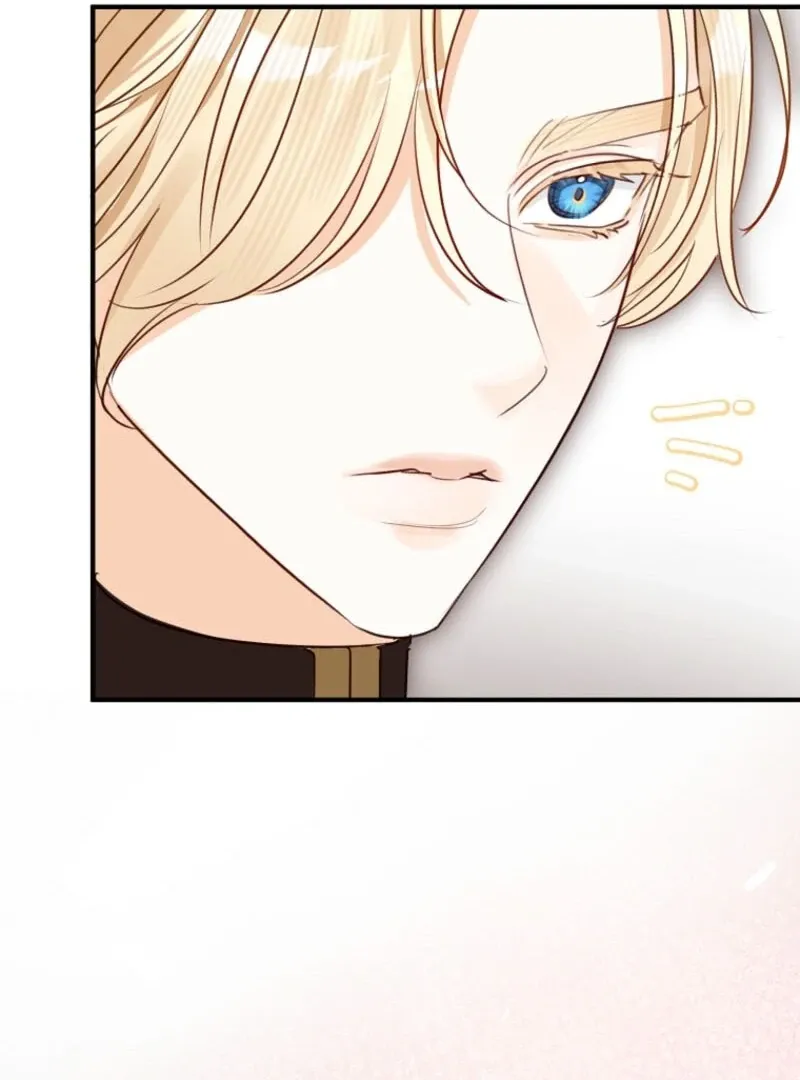 The Archduke's Fabulous Fake Marriage Chapter 84 page 102