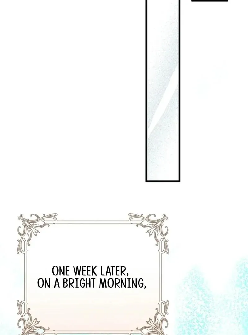 The Archduke's Fabulous Fake Marriage Chapter 78 page 56
