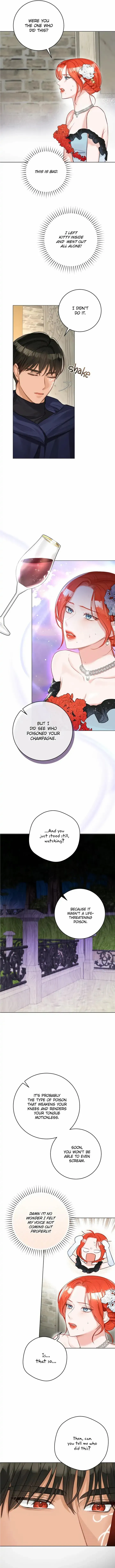 The Archduke's Fabulous Fake Marriage Chapter 33 page 9