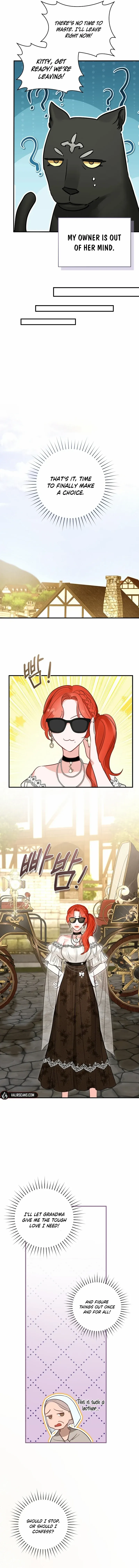 The Archduke's Fabulous Fake Marriage Chapter 64 page 12