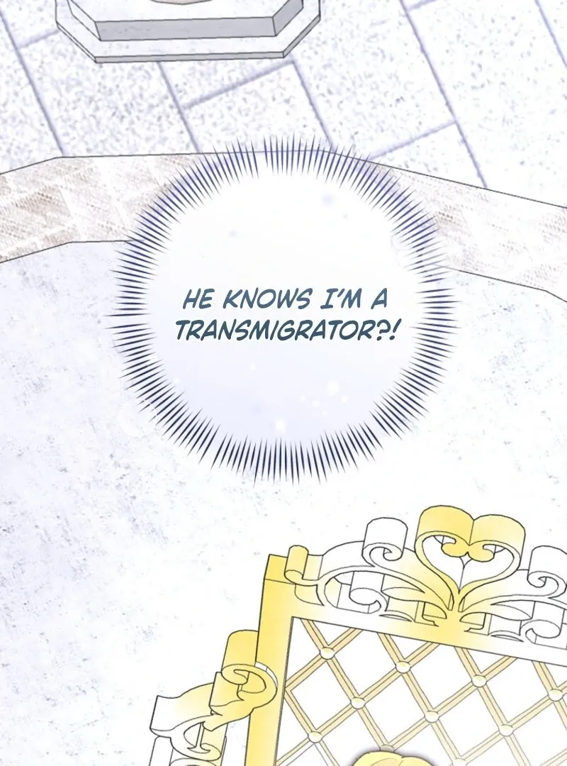 The Archduke's Fabulous Fake Marriage Chapter 96 page 45