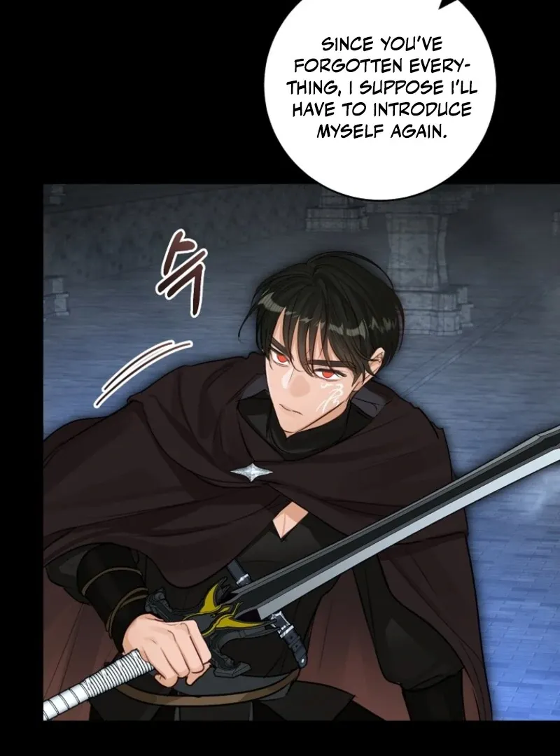 The Archduke's Fabulous Fake Marriage Chapter 90 page 95