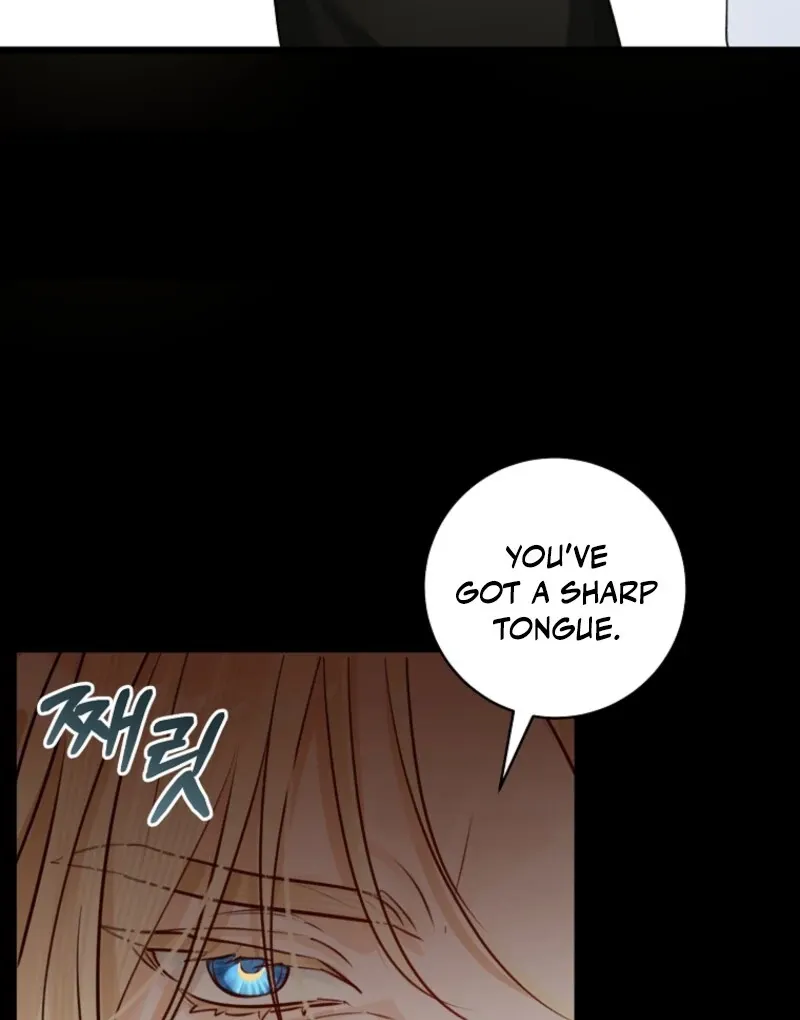 The Archduke's Fabulous Fake Marriage Chapter 88 page 41