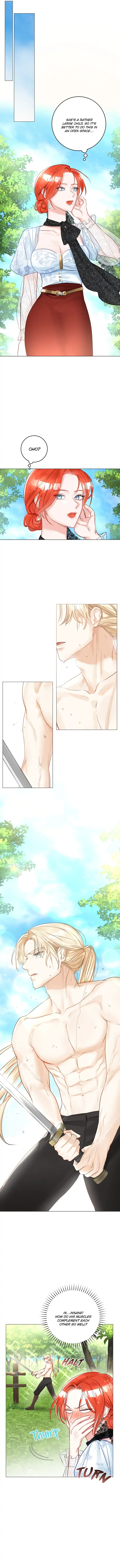 The Archduke's Fabulous Fake Marriage Chapter 17 page 9