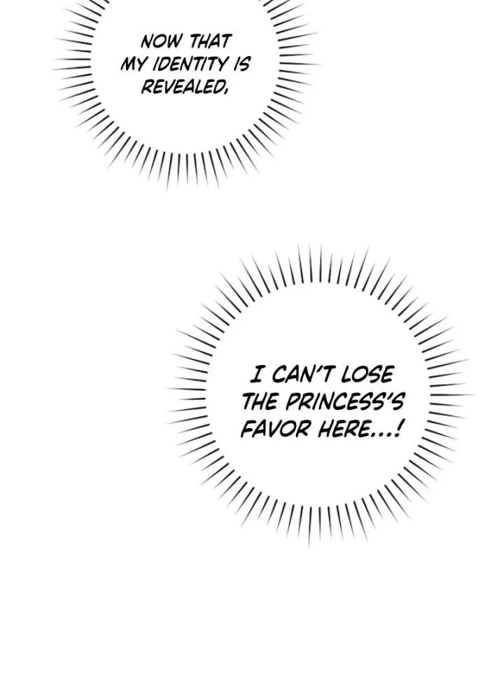 The Archduke's Fabulous Fake Marriage Chapter 94 page 44
