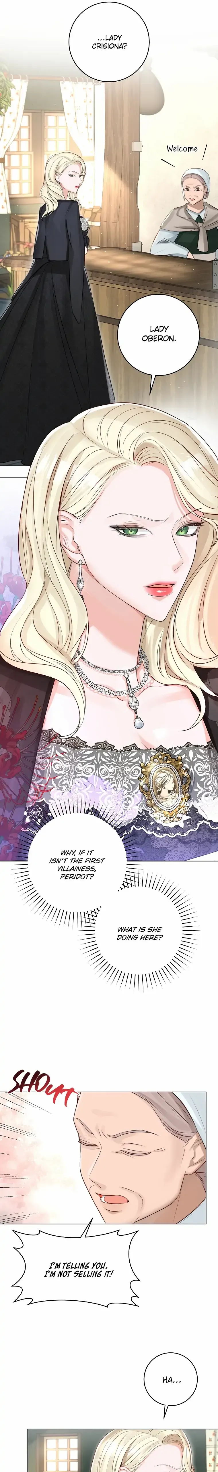 The Archduke's Fabulous Fake Marriage Chapter 25 page 14