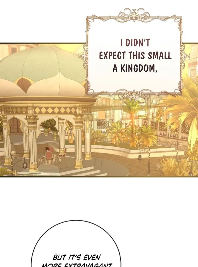The Archduke's Fabulous Fake Marriage Chapter 79 page 8