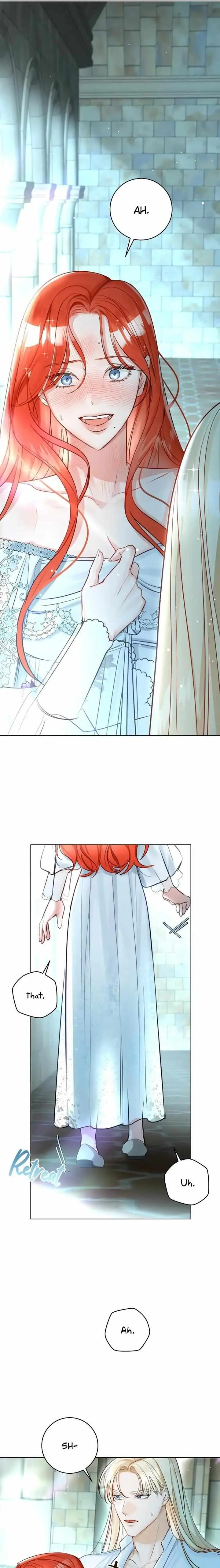 The Archduke's Fabulous Fake Marriage Chapter 29 page 10