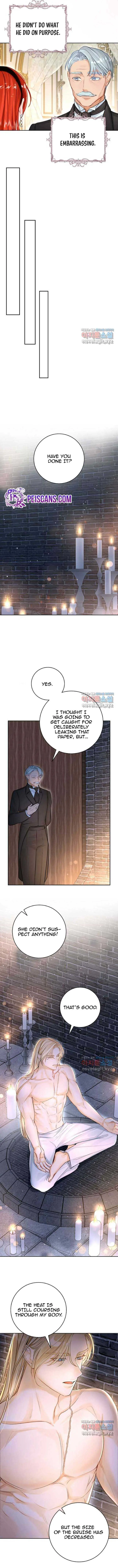 The Archduke's Fabulous Fake Marriage Chapter 42 page 7