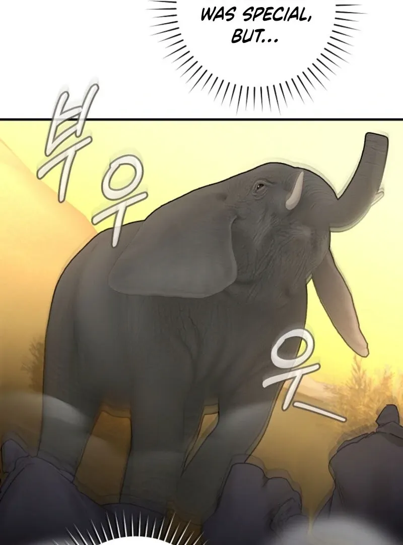 The Archduke's Fabulous Fake Marriage Chapter 95 page 15