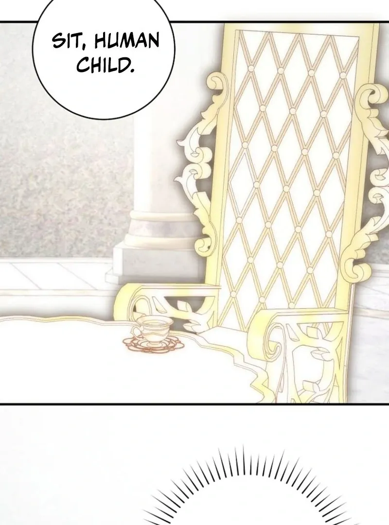 The Archduke's Fabulous Fake Marriage Chapter 95 page 88