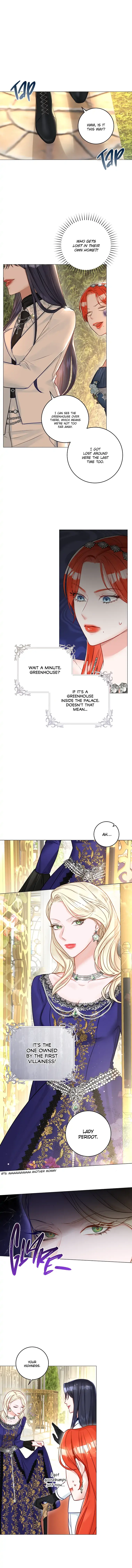 The Archduke's Fabulous Fake Marriage Chapter 20 page 3