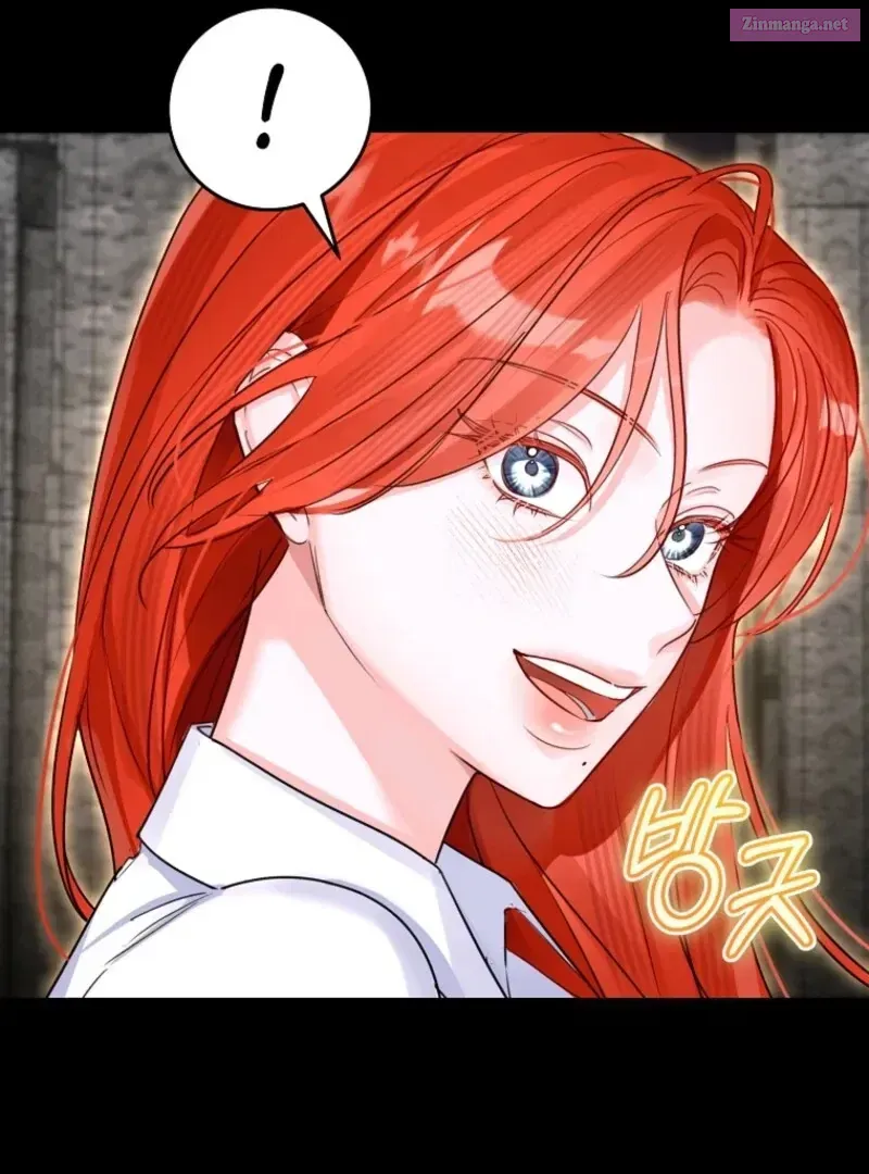 The Archduke's Fabulous Fake Marriage Chapter 89.1 page 105