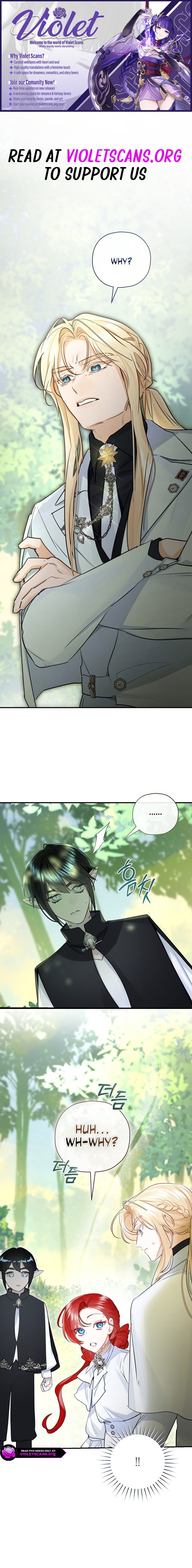 The Archduke's Fabulous Fake Marriage Chapter 121 page 1