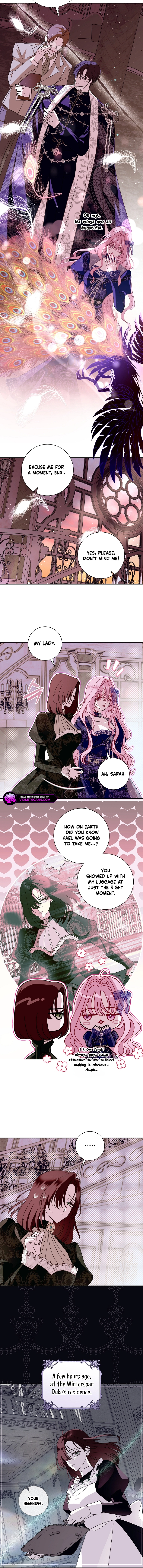 Anything but Marriage, Mr. Villain! Chapter 8 page 5