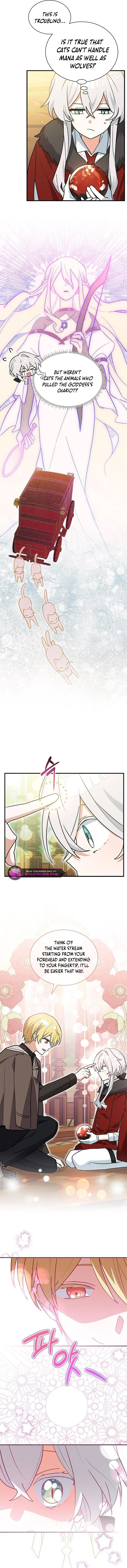 A Cat, Adopted by a Wolf Family? Chapter 39 page 4