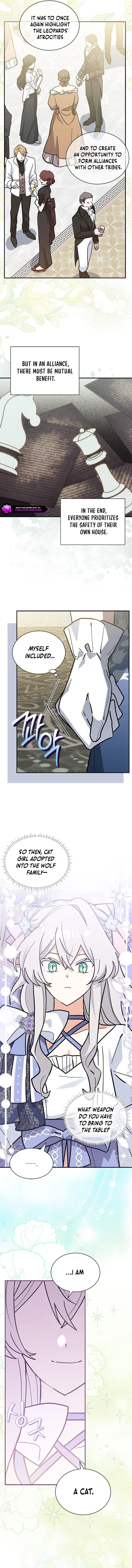 A Cat, Adopted by a Wolf Family? Chapter 62 page 6