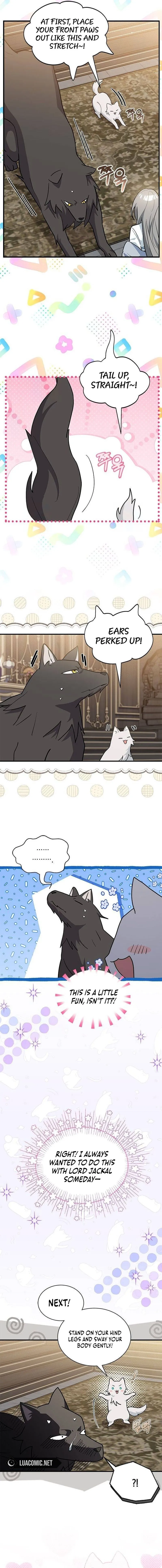 A Cat, Adopted by a Wolf Family? Chapter 42 page 9