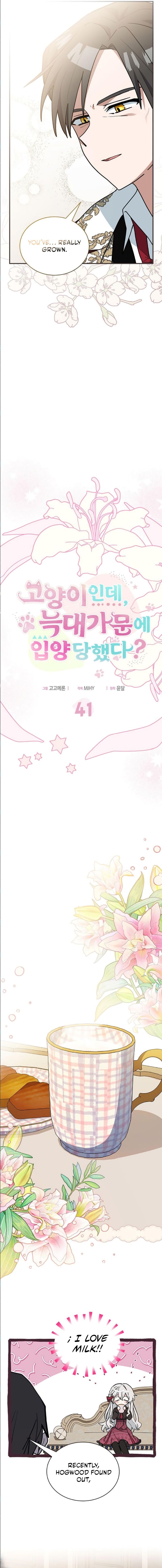 A Cat, Adopted by a Wolf Family? Chapter 41 page 4