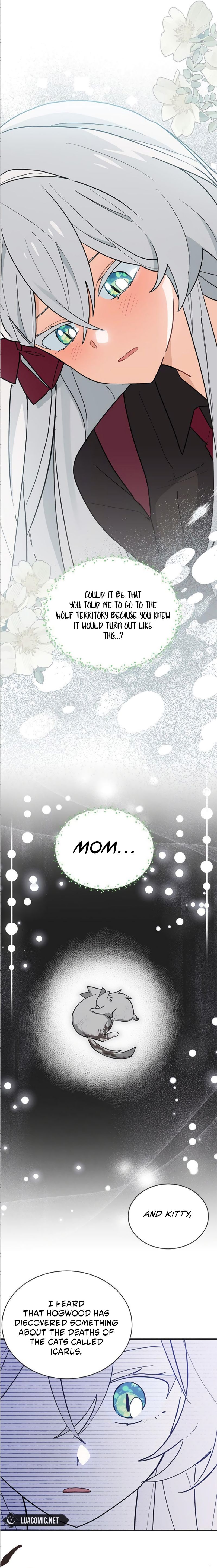 A Cat, Adopted by a Wolf Family? Chapter 41 page 11