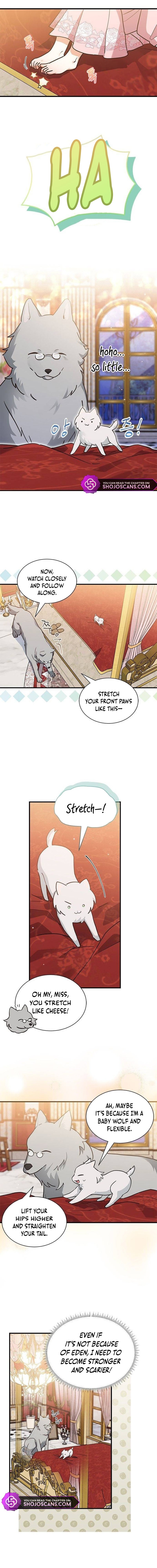 A Cat, Adopted by a Wolf Family? Chapter 19 page 12