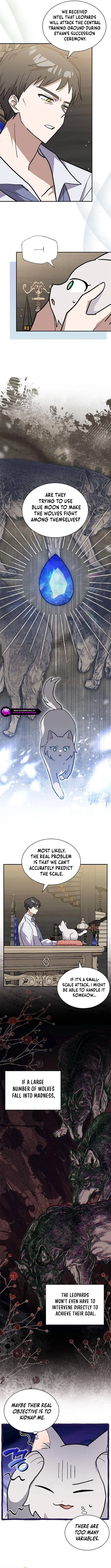 A Cat, Adopted by a Wolf Family? Chapter 53 page 3