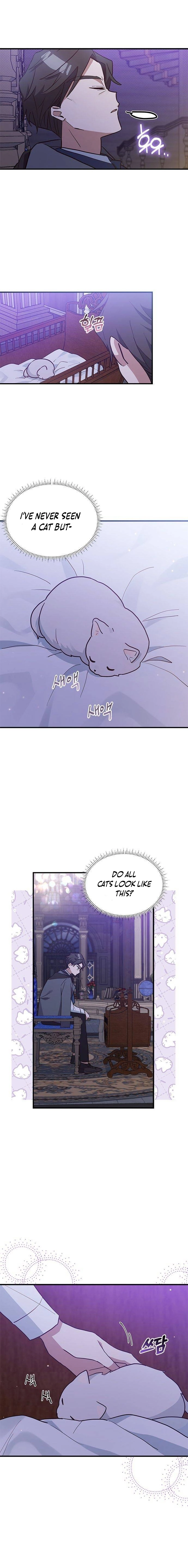 A Cat, Adopted by a Wolf Family? Chapter 14 page 7