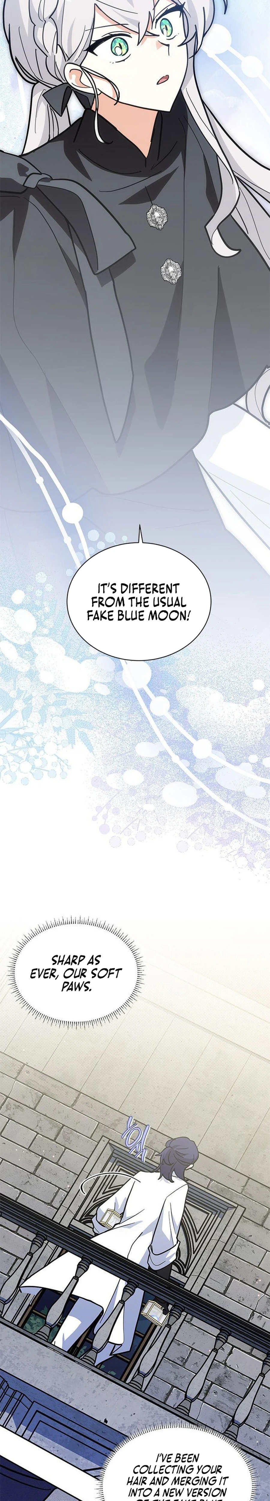 A Cat, Adopted by a Wolf Family? Chapter 56 page 14