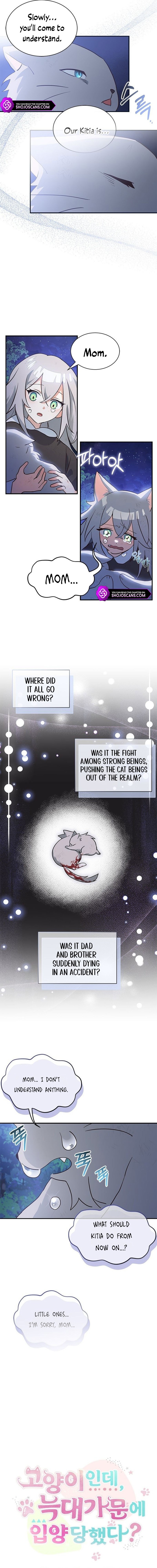 A Cat, Adopted by a Wolf Family? Chapter 1 page 7