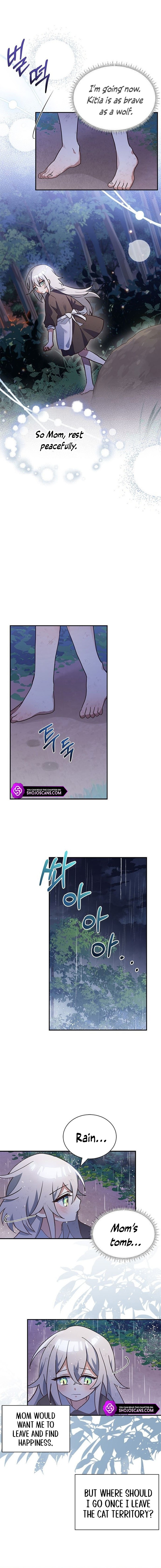 A Cat, Adopted by a Wolf Family? Chapter 1 page 9