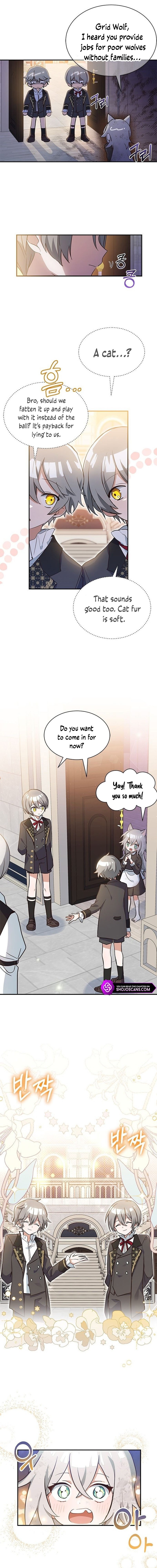 A Cat, Adopted by a Wolf Family? Chapter 1 page 14