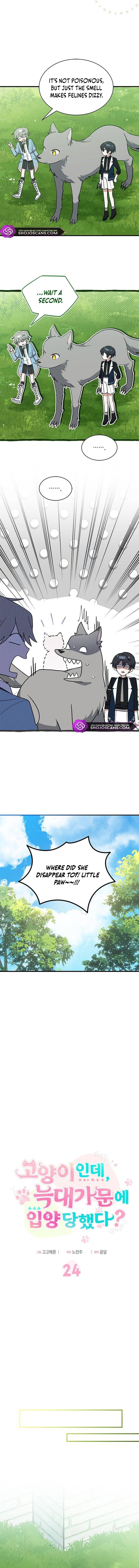 A Cat, Adopted by a Wolf Family? Chapter 24 page 7