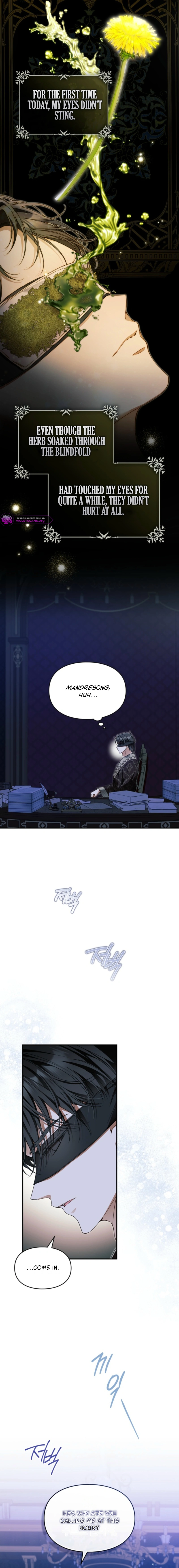 Engaged to the Blind Duke Chapter 16 page 10