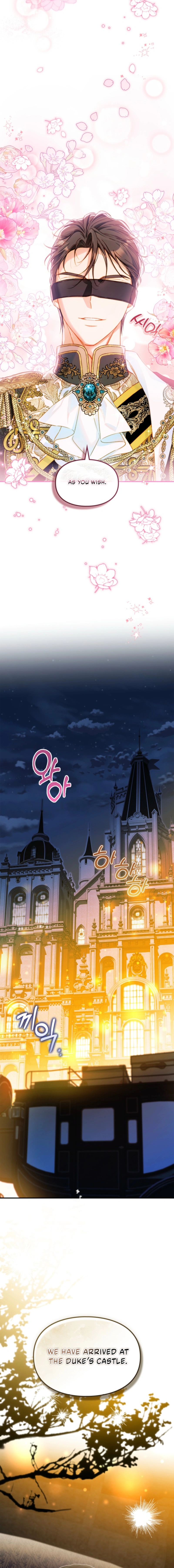 Engaged to the Blind Duke Chapter 33 page 17