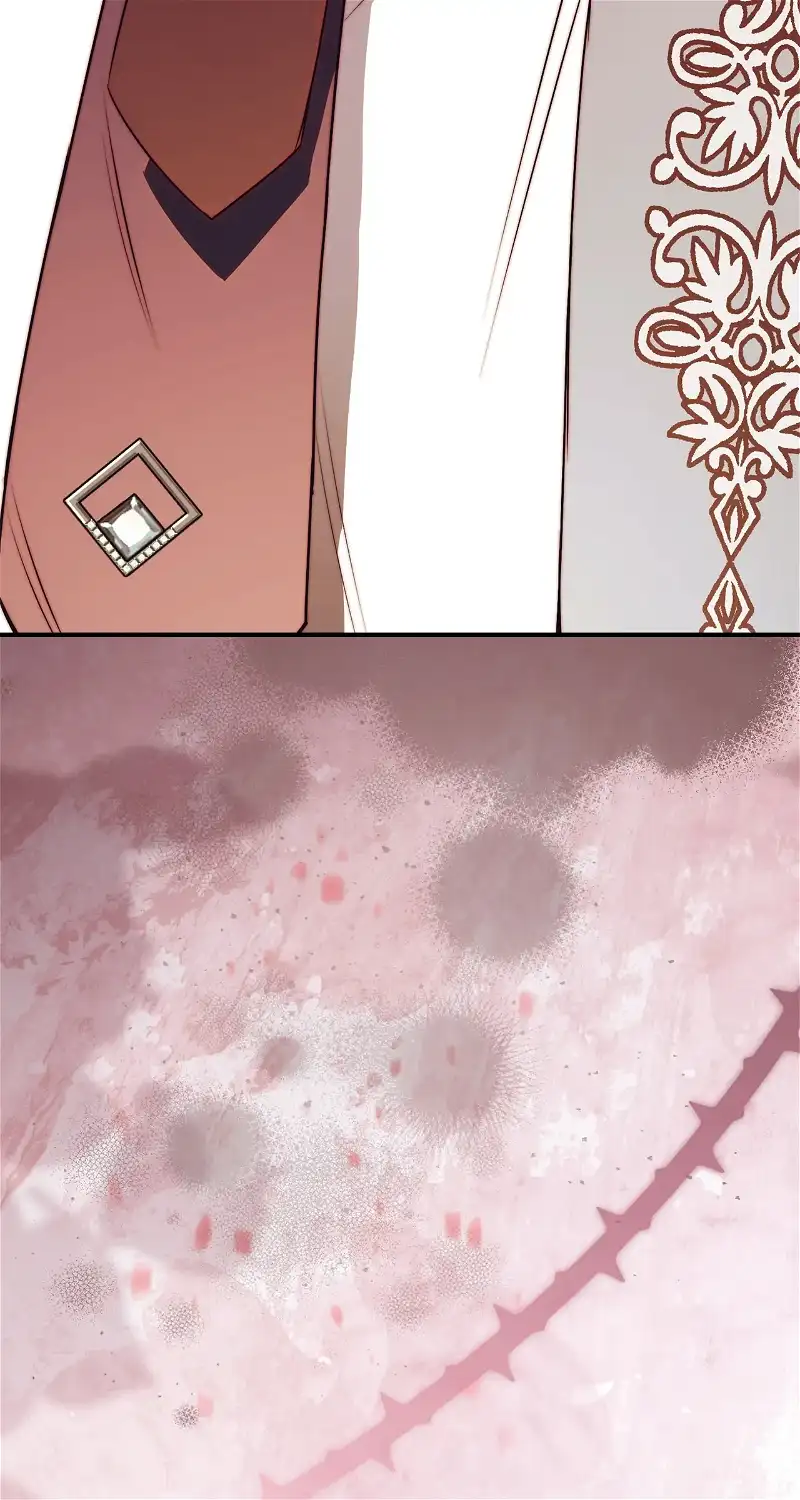 How to Reject My Obsessive Ex-Husband Chapter 28 page 96
