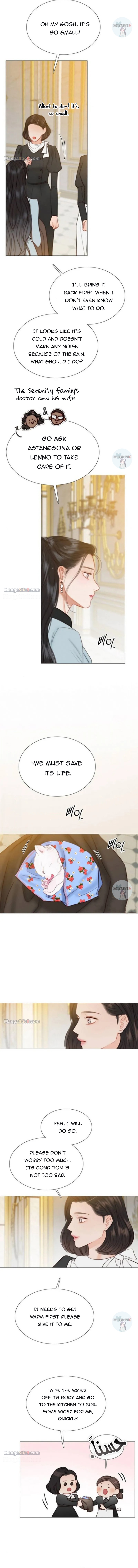 Serena Chapter 41 page 3