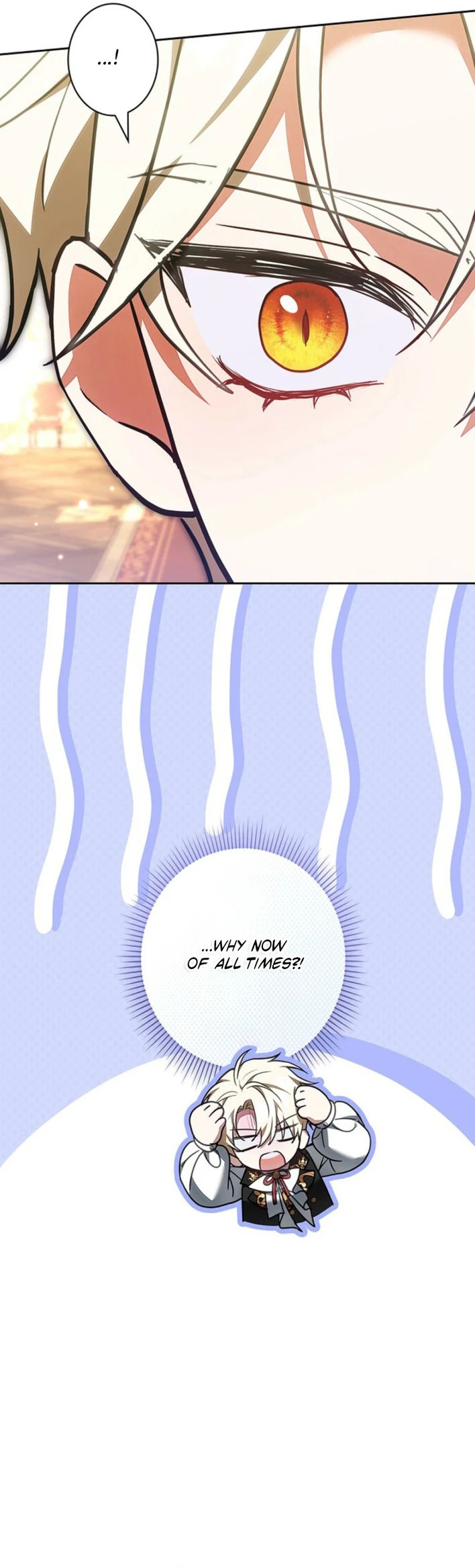 I Was Supposed to Be a Stalker Lady, but Somehow I'm Being Adored Instead Chapter 33 page 11