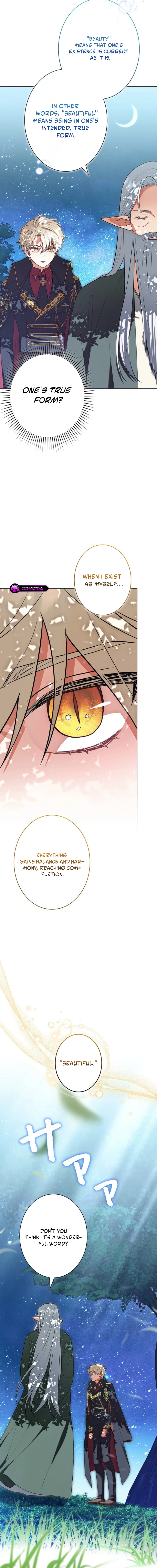 I Was Supposed to Be a Stalker Lady, but Somehow I'm Being Adored Instead Chapter 8 page 15