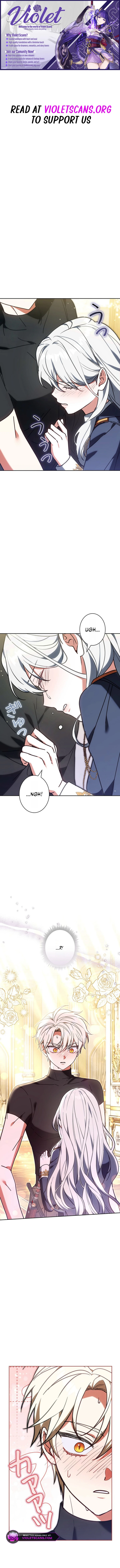 I Was Supposed to Be a Stalker Lady, but Somehow I'm Being Adored Instead Chapter 37 page 1