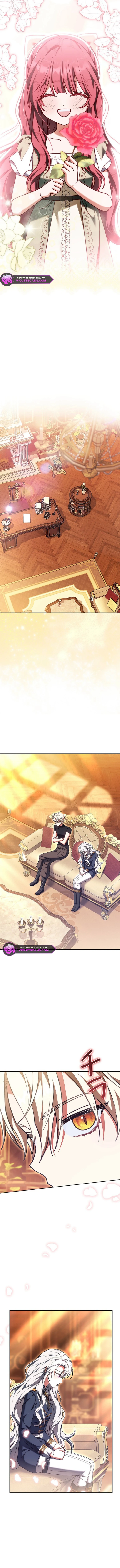 I Was Supposed to Be a Stalker Lady, but Somehow I'm Being Adored Instead Chapter 37 page 7