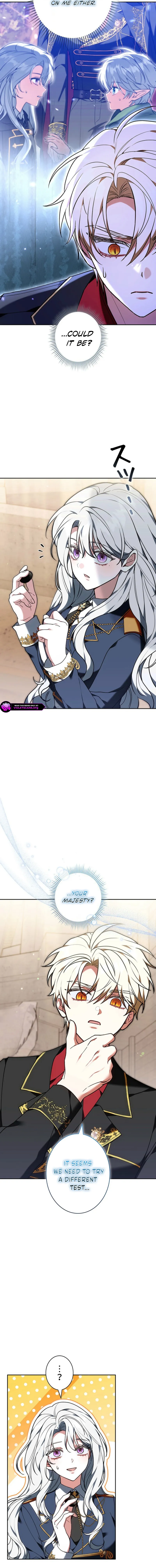 I Was Supposed to Be a Stalker Lady, but Somehow I'm Being Adored Instead Chapter 12 page 6