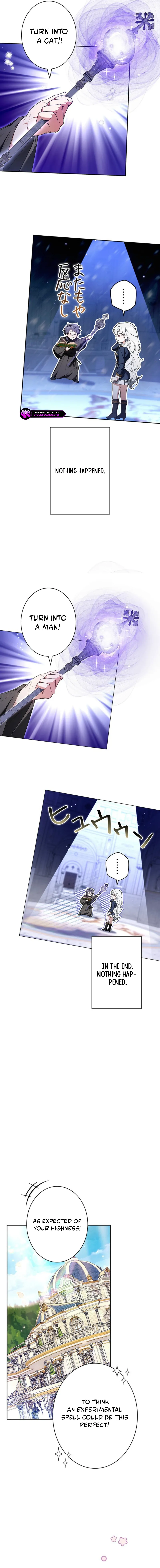 I Was Supposed to Be a Stalker Lady, but Somehow I'm Being Adored Instead Chapter 12 page 13