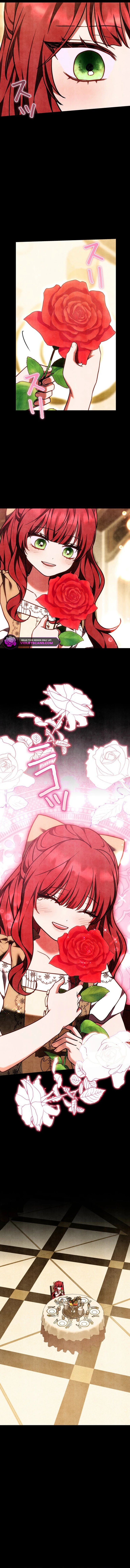 I Was Supposed to Be a Stalker Lady, but Somehow I'm Being Adored Instead Chapter 36 page 15