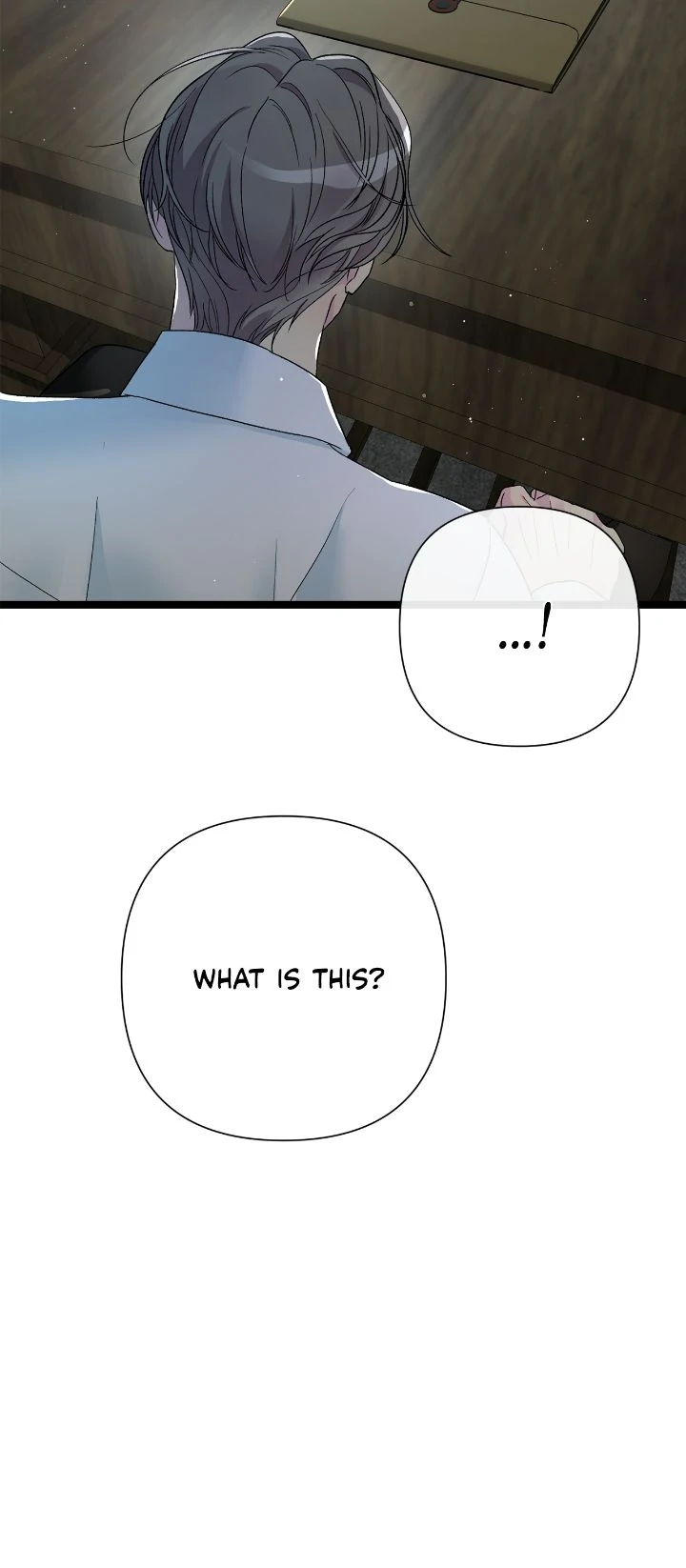 The Problematic Prince Chapter 95 page 19